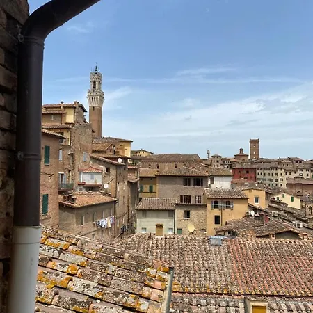 La Finestra Sulla Torre *